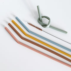 Silicone Straws set (5)