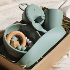 Baby Gift Set Sage
